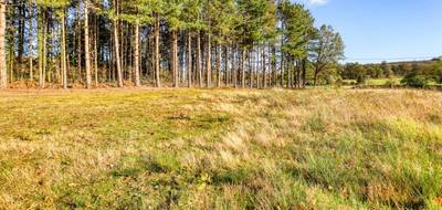 Terrain seul à Saint-Victor en Allier (03) de 2329 m² à vendre au prix de 39000€ - 1