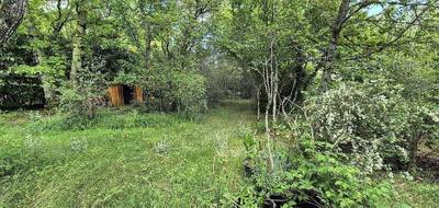 Terrain seul à Saint-Aubin-de-Médoc en Gironde (33) de 800 m² à vendre au prix de 211000€ - 1