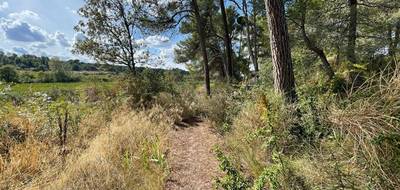 Terrain seul à Rieux-Minervois en Aude (11) de 1500 m² à vendre au prix de 54000€ - 3