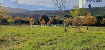 Terrain seul à Brissac en Hérault (34) de 1025 m² à vendre au prix de 130000€ - 3