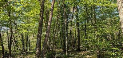 Terrain seul à Guignes en Seine-et-Marne (77) de 7253 m² à vendre au prix de 23500€ - 1