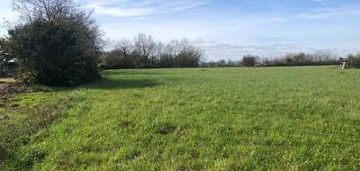 Terrain seul à Saint-Philbert-de-Grand-Lieu en Loire-Atlantique (44) de 10045 m² à vendre au prix de 391800€ - 1