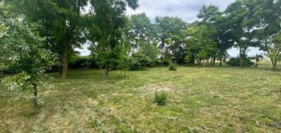 Terrain seul à La Chapelle-Saint-Martin-en-Plaine en Loir-et-Cher (41) de 1454 m² à vendre au prix de 46750€ - 3