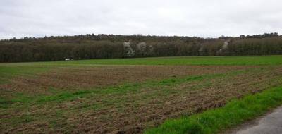 Terrain seul à Saint-Pierre-lès-Nemours en Seine-et-Marne (77) de 4150 m² à vendre au prix de 188000€ - 1