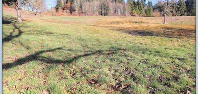 Terrain seul à Chabreloche en Puy-de-Dôme (63) de 2586 m² à vendre au prix de 29000€ - 3