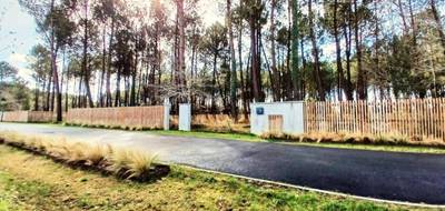Terrain seul à Seignosse en Landes (40) de 810 m² à vendre au prix de 415000€ - 3