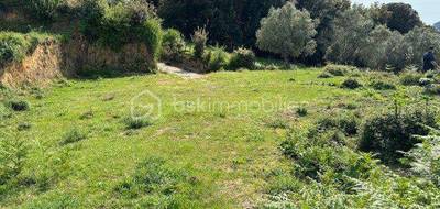 Terrain seul à Olivese en Corse-du-Sud (2A) de 0 m² à vendre au prix de 105300€ - 1