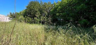 Terrain seul à La Flotte en Charente-Maritime (17) de 250 m² à vendre au prix de 399000€ - 4