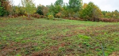 Terrain seul à Sarlat-la-Canéda en Dordogne (24) de 3310 m² à vendre au prix de 45000€ - 1