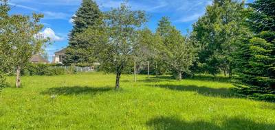 Terrain seul à Villefranche-sur-Cher en Loir-et-Cher (41) de 1612 m² à vendre au prix de 30990€ - 2