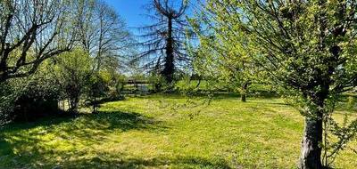 Terrain seul à Montauban en Tarn-et-Garonne (82) de 820 m² à vendre au prix de 69000€ - 2