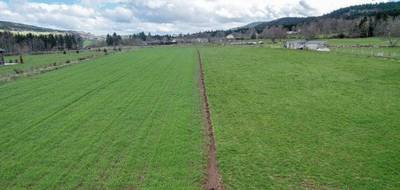 Terrain seul à Araules en Haute-Loire (43) de 8830 m² à vendre au prix de 125000€ - 2