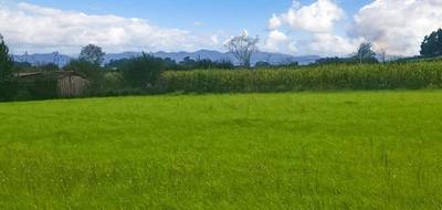 Terrain seul à Bidache en Pyrénées-Atlantiques (64) de 5000 m² à vendre au prix de 160000€ - 3