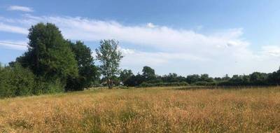 Terrain seul à Bellevesvre en Saône-et-Loire (71) de 4510 m² à vendre au prix de 39000€ - 1