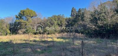 Terrain seul à Montpellier en Hérault (34) de 1038 m² à vendre au prix de 650000€ - 2