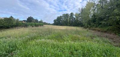Terrain seul à Estillac en Lot-et-Garonne (47) de 1500 m² à vendre au prix de 62000€ - 1