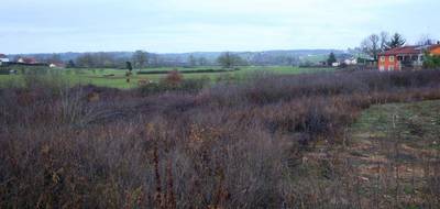 Terrain seul à Digoin en Saône-et-Loire (71) de 3000 m² à vendre au prix de 42690€ - 3