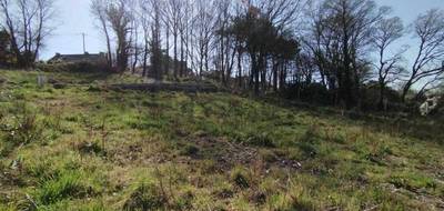 Terrain seul à Baden en Morbihan (56) de 332 m² à vendre au prix de 295000€ - 4