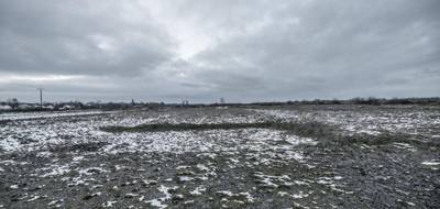 Terrain seul à Gannay-sur-Loire en Allier (03) de 50000 m² à vendre au prix de 304000€ - 4