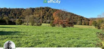 Terrain seul à Bonnemazon en Hautes-Pyrénées (65) de 1235 m² à vendre au prix de 25000€ - 2