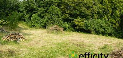 Terrain seul à Montreuil en Pas-de-Calais (62) de 1000 m² à vendre au prix de 49500€ - 2