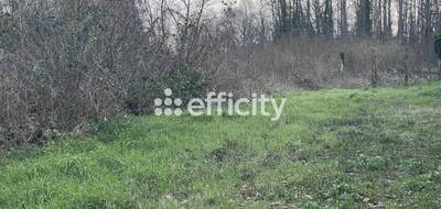 Terrain seul à Cerny en Essonne (91) de 573 m² à vendre au prix de 193000€ - 2