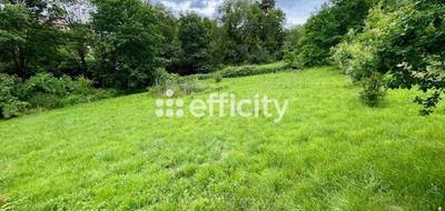 Terrain seul à Thiers en Puy-de-Dôme (63) de 3665 m² à vendre au prix de 79000€ - 1