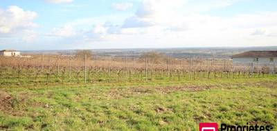 Terrain seul à Langon en Gironde (33) de 1066 m² à vendre au prix de 75000€ - 4