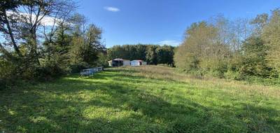 Terrain seul à Castelnau-Chalosse en Landes (40) de 3783 m² à vendre au prix de 59000€ - 3