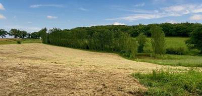 Terrain seul à Riscle en Gers (32) de 18000 m² à vendre au prix de 62000€ - 4