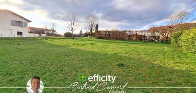 Terrain seul à Vindry-sur-Turdine en Rhône (69) de 985 m² à vendre au prix de 145000€ - 4