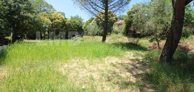 Terrain seul à Saint-Hippolyte-du-Fort en Gard (30) de 682 m² à vendre au prix de 94000€ - 1