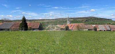 Terrain seul à Nixéville-Blercourt en Meuse (55) de 7520 m² à vendre au prix de 109000€ - 3
