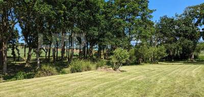 Terrain seul à Plomodiern en Finistère (29) de 3500 m² à vendre au prix de 42900€ - 1