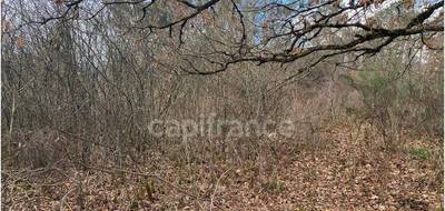 Terrain seul à Saint-Jean-de-Côle en Dordogne (24) de 6671 m² à vendre au prix de 36000€ - 4