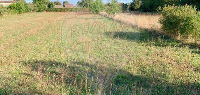 Terrain seul à Rioux en Charente-Maritime (17) de 10569 m² à vendre au prix de 116600€ - 2