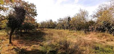 Terrain seul à Béruges en Vienne (86) de 985 m² à vendre au prix de 62700€ - 3