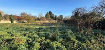 Terrain seul à Les Rairies en Maine-et-Loire (49) de 3241 m² à vendre au prix de 32500€ - 3