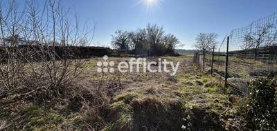 Terrain seul à Laix en Meurthe-et-Moselle (54) de 9900 m² à vendre au prix de 160000€ - 3