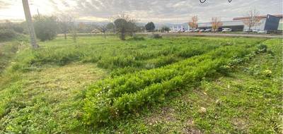 Terrain seul à Savigneux en Loire (42) de 1141 m² à vendre au prix de 89000€ - 4