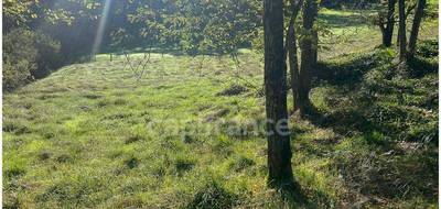Terrain seul à Thiviers en Dordogne (24) de 6647 m² à vendre au prix de 36000€ - 4
