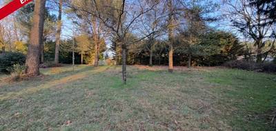 Terrain seul à Molac en Morbihan (56) de 620 m² à vendre au prix de 49950€ - 3