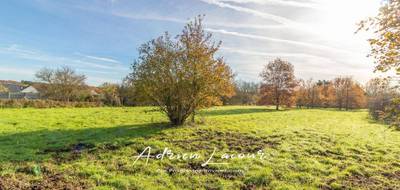 Terrain seul à Romorantin-Lanthenay en Loir-et-Cher (41) de 4077 m² à vendre au prix de 54990€ - 3