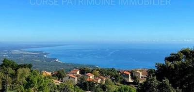 Terrain seul à Sari-Solenzara en Corse-du-Sud (2A) de 1100 m² à vendre au prix de 153300€ - 1