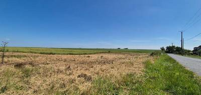 Terrain seul à Plivot en Marne (51) de 600 m² à vendre au prix de 64000€ - 1