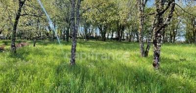 Terrain seul à Martel en Lot (46) de 1710 m² à vendre au prix de 59900€ - 1