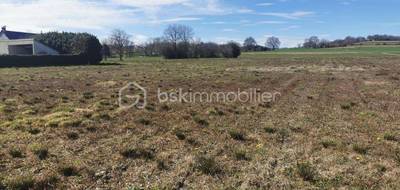 Terrain seul à Lespouey en Hautes-Pyrénées (65) de 1700 m² à vendre au prix de 56000€ - 1