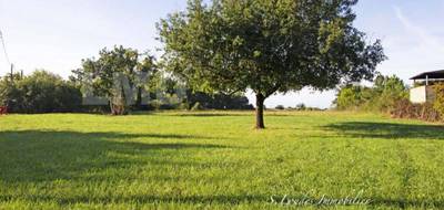 Terrain seul à Montbartier en Tarn-et-Garonne (82) de 756 m² à vendre au prix de 65000€ - 1