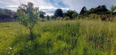 Terrain seul à Castelsarrasin en Tarn-et-Garonne (82) de 978 m² à vendre au prix de 49000€ - 2