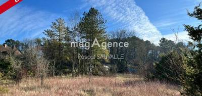 Terrain seul à Neuvic en Dordogne (24) de 2627 m² à vendre au prix de 27000€ - 3